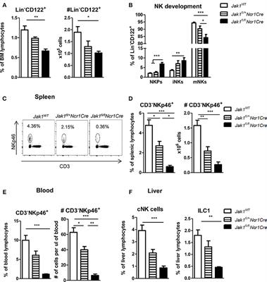 Loss of JAK1 Drives Innate Immune Deficiency